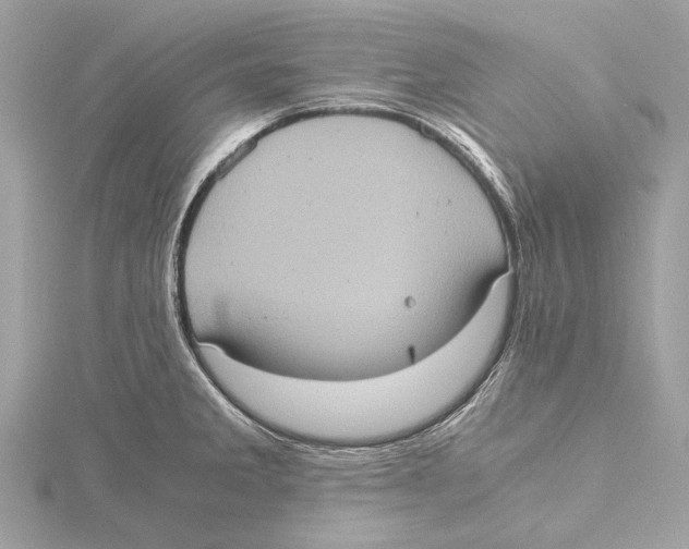 X0000115411285200912011218