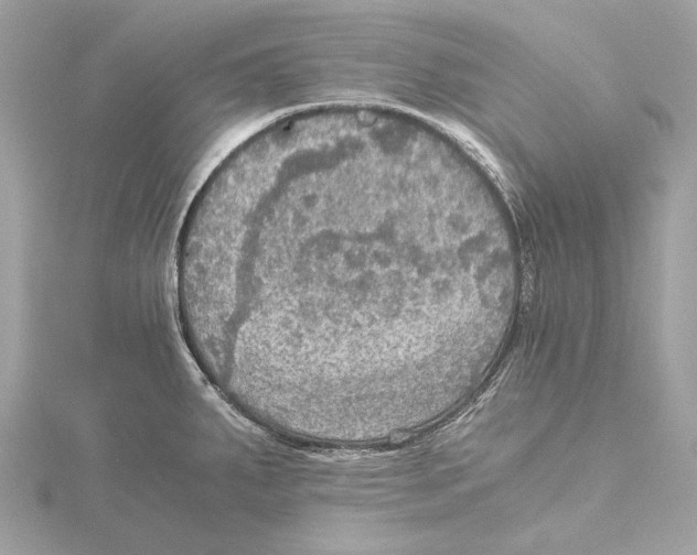 X0000115411287200912011218