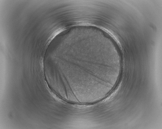 X0000115411289200912011218