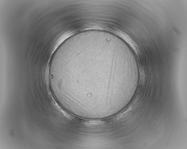 X0000115411290200912011218