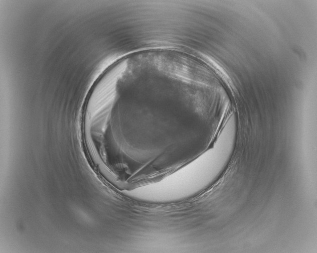 X0000115411291200912011218