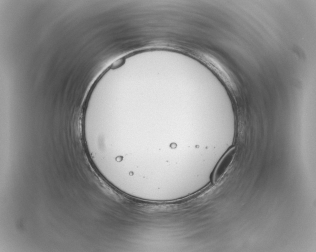 X0000115411292200912011218