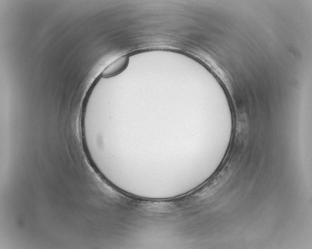 X0000115411293200912011218