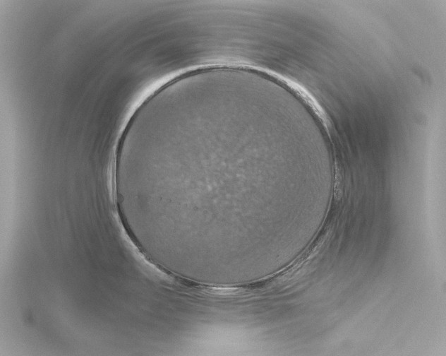 X0000115411295200912011218