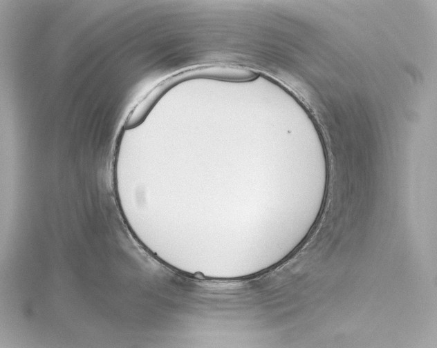 X0000115411296200912011218