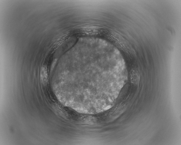 X0000115411298200912011217