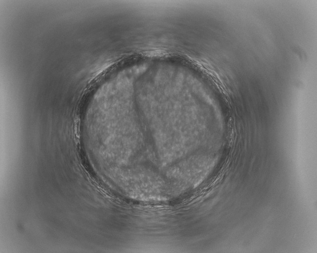 X0000115411301200912011217