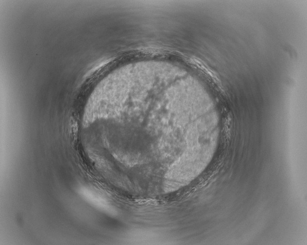 X0000115411302200912011217