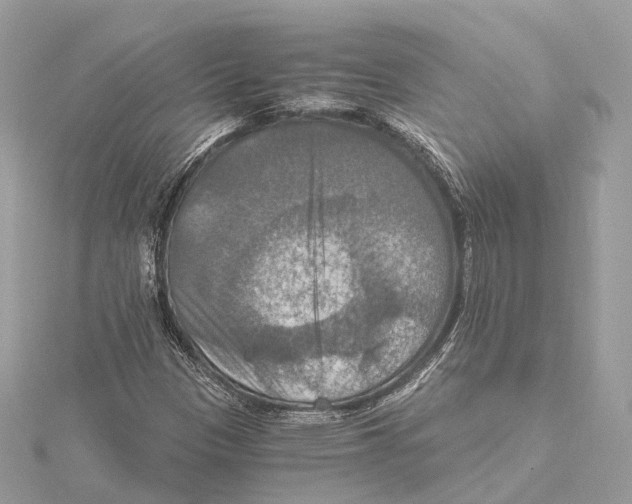 X0000115411305200912011217