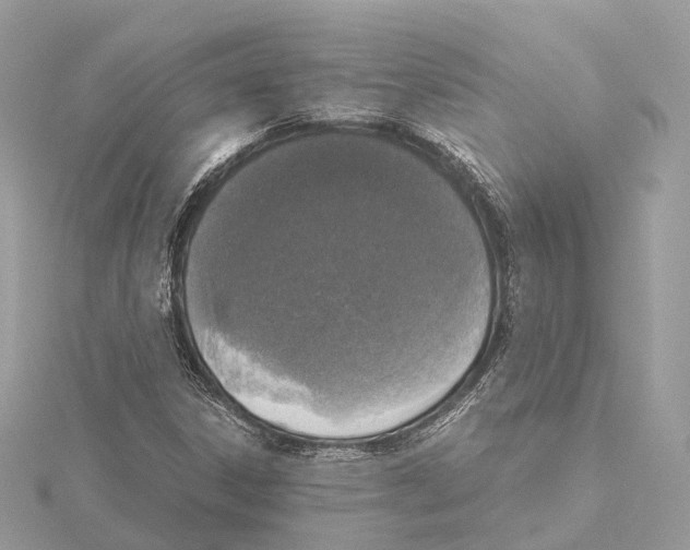 X0000115411306200912011217