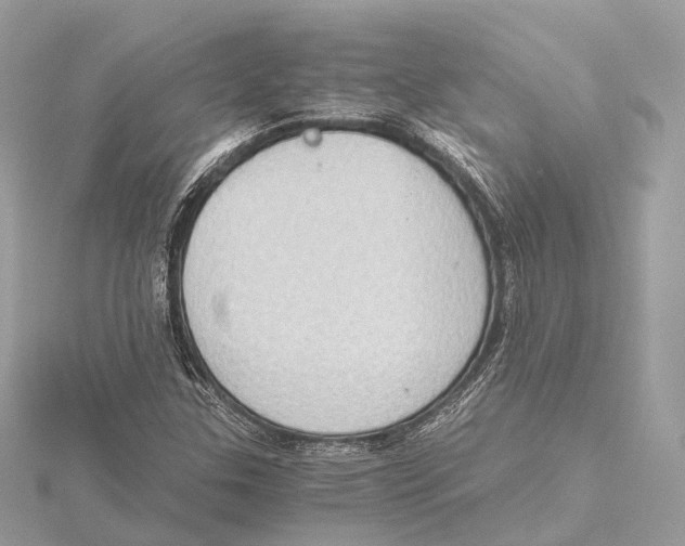 X0000115411307200912011217