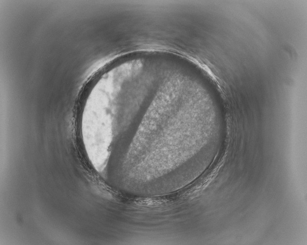 X0000115411311200912011217