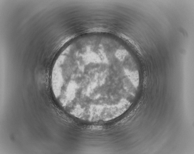 X0000115411313200912011217