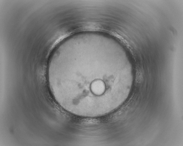 X0000115411314200912011217