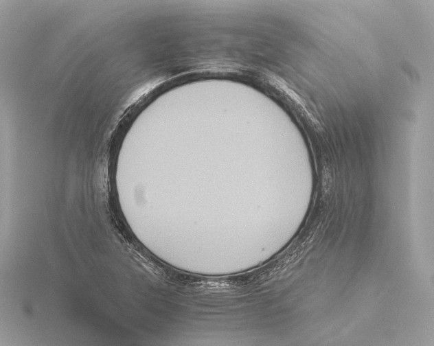 X0000115411315200912011217