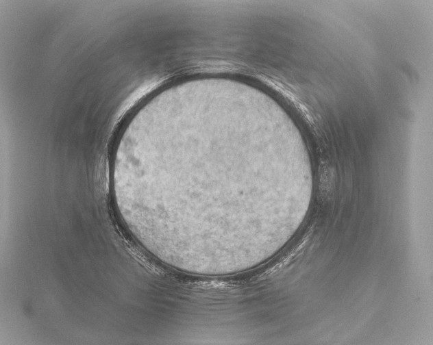 X0000115411317200912011217