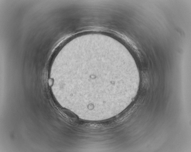 X0000115411318200912011217