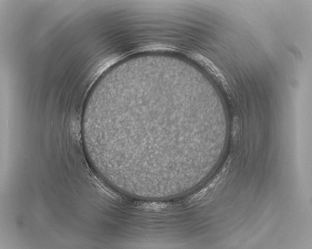 X0000115411321200912011217