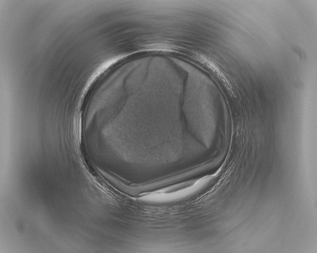 X0000115411323200912011217