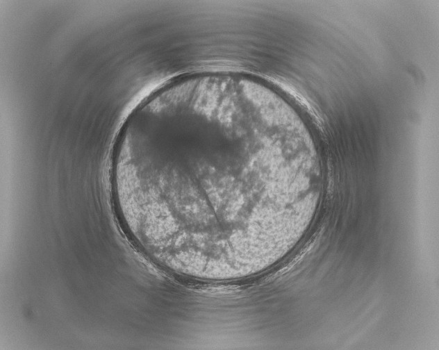 X0000115411325200912011217