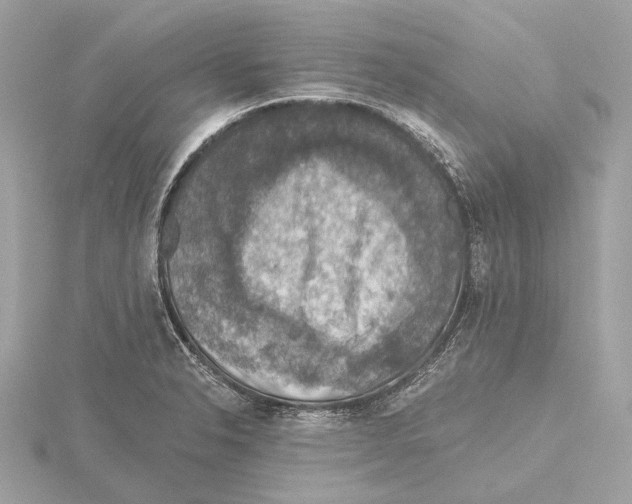 X0000115411326200912011217