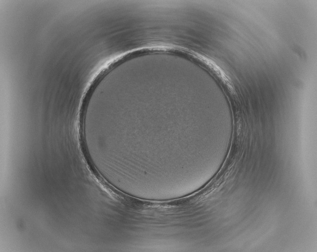 X0000115411327200912011217