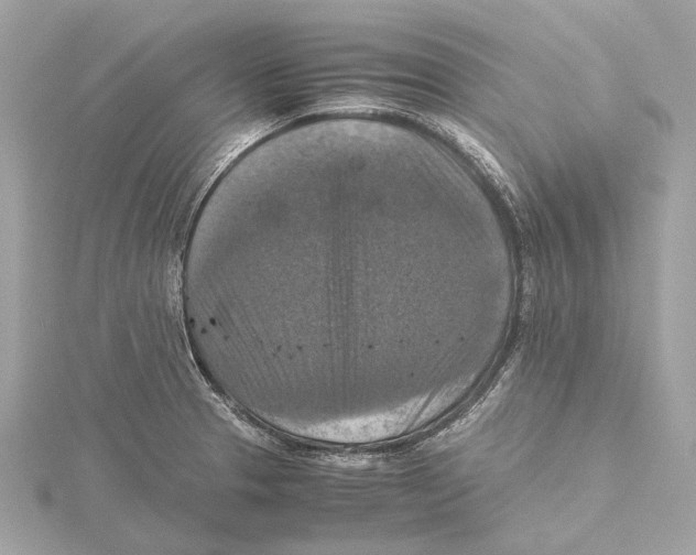 X0000115411329200912011217