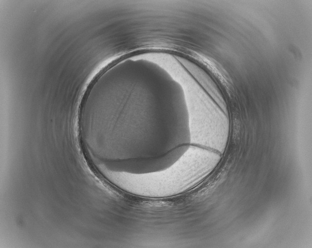 X0000115411331200912011217