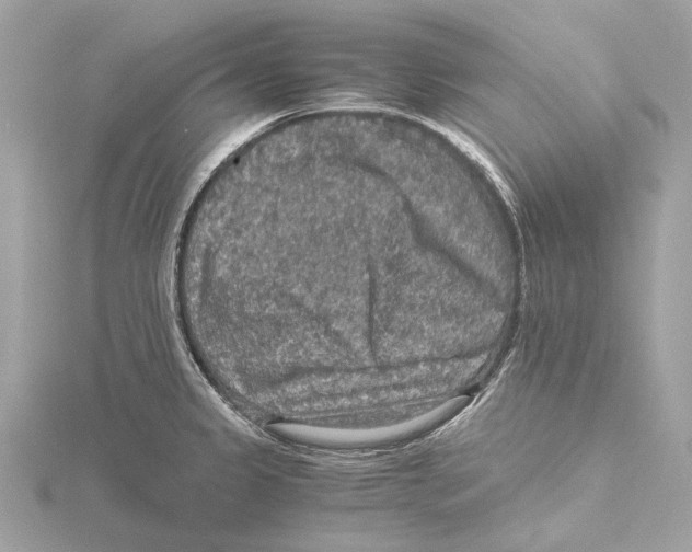 X0000115411333200912011217