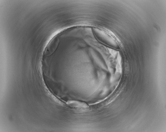 X0000115411334200912011218