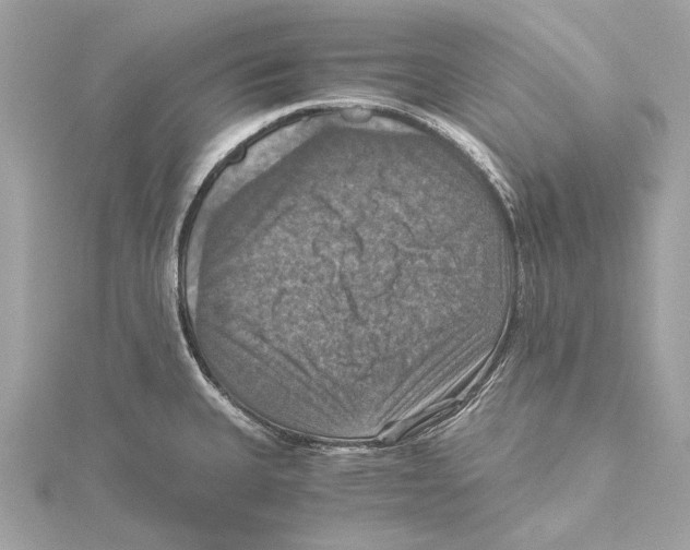 X0000115411335200912011218