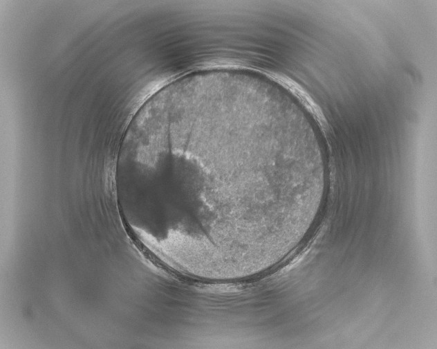 X0000115411337200912011218