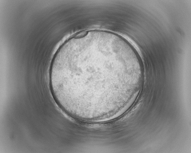 X0000115411341200912011218