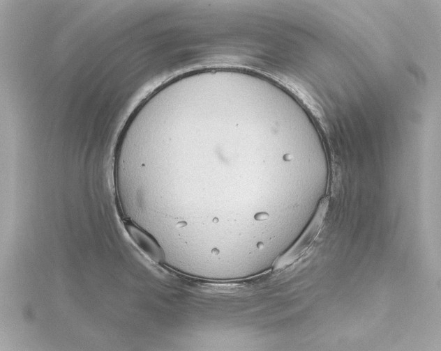 X0000115411342200912011218