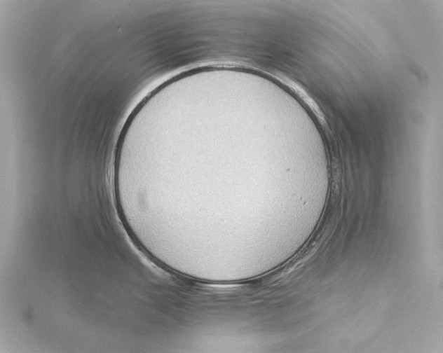 X0000115411343200912011218