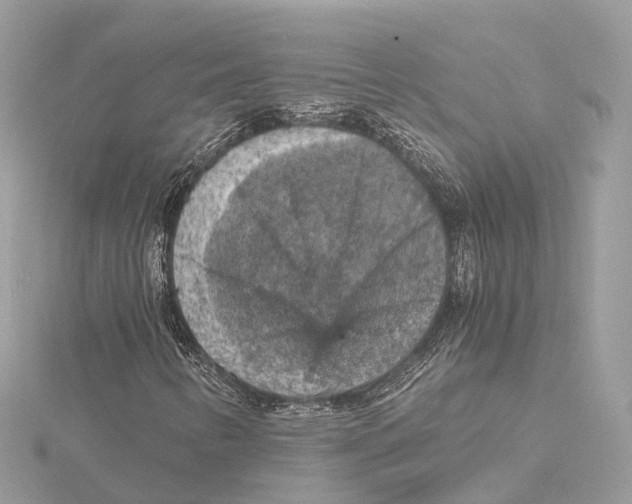 X0000115411346200912011217