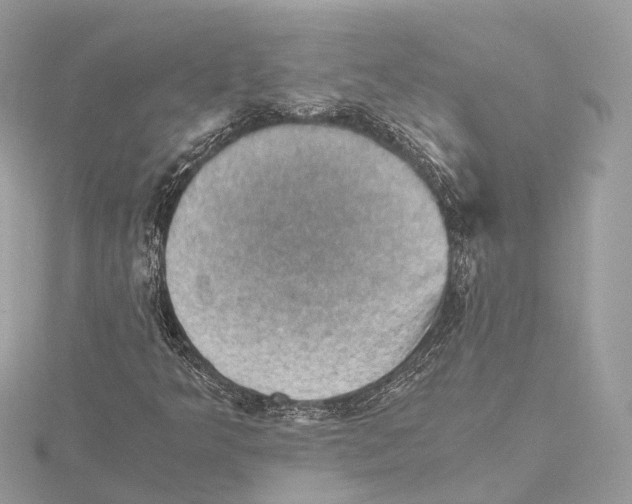 X0000115411349200912011217