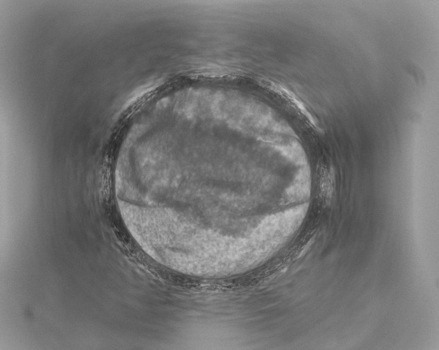 X0000115411350200912011217