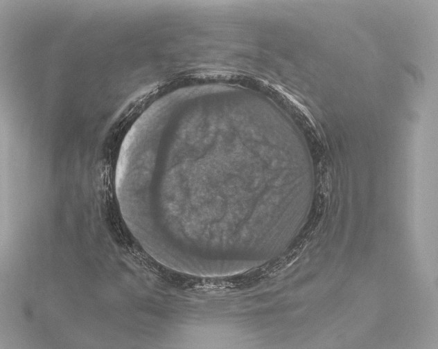 X0000115411351200912011217