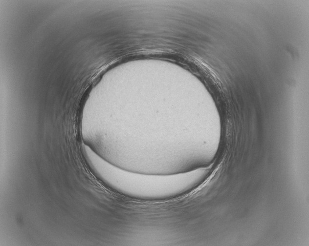 X0000115411353200912011217