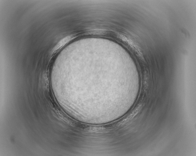 X0000115411354200912011217