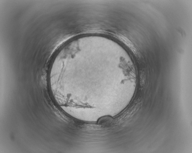 X0000115411356200912011217