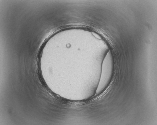 X0000115411357200912011217