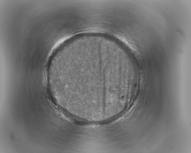 X0000115411358200912011217