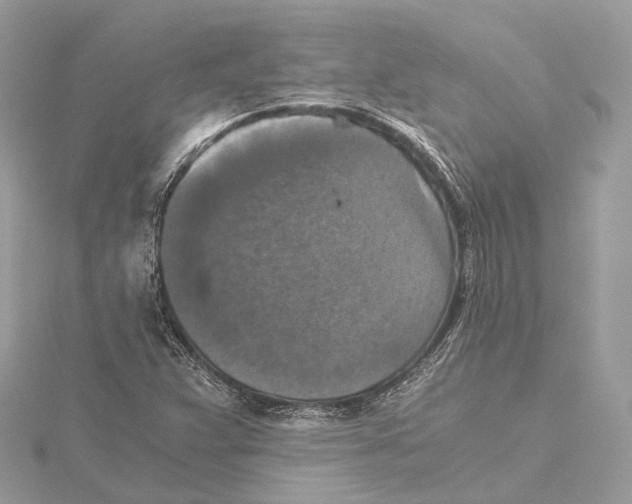 X0000115411359200912011217