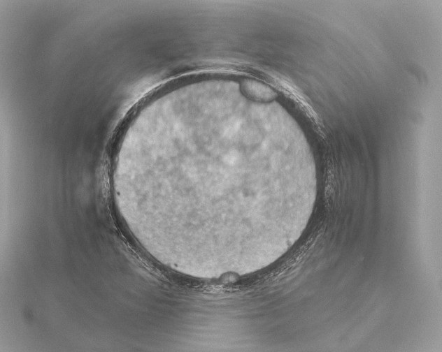 X0000115411360200912011217