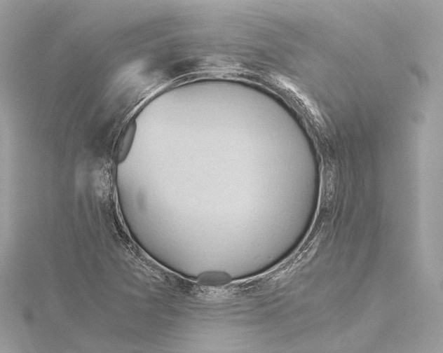 X0000115411361200912011217