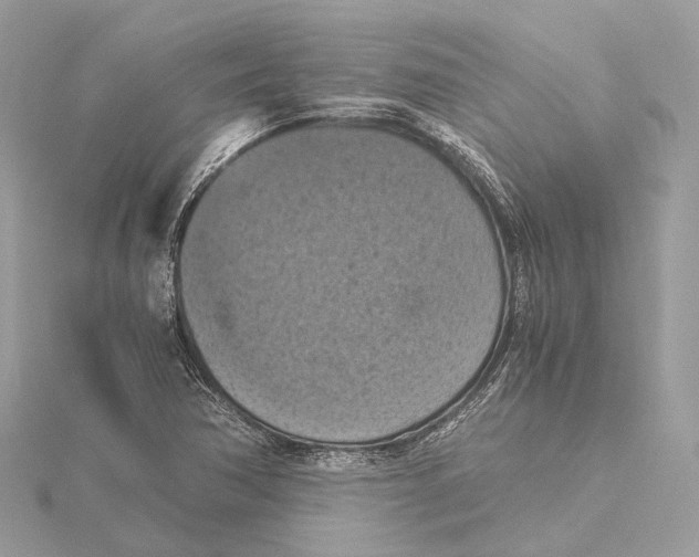 X0000115411362200912011217