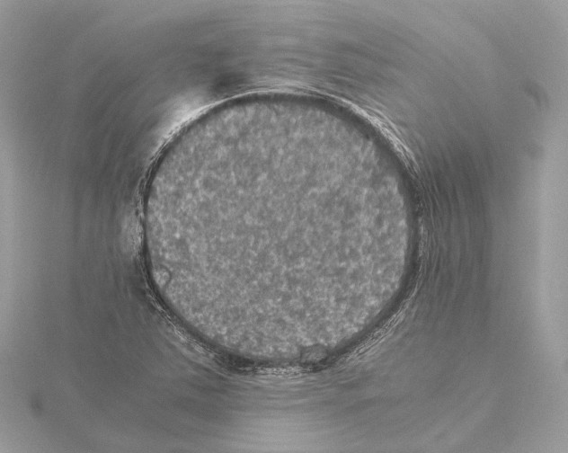 X0000115411363200912011217