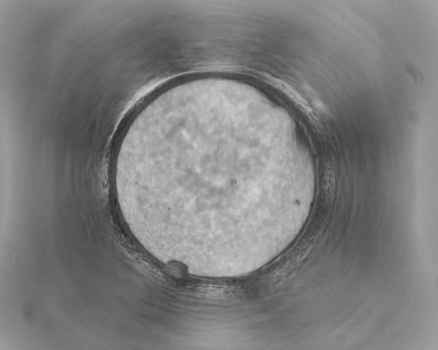 X0000115411364200912011217